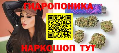 винт Новозыбков