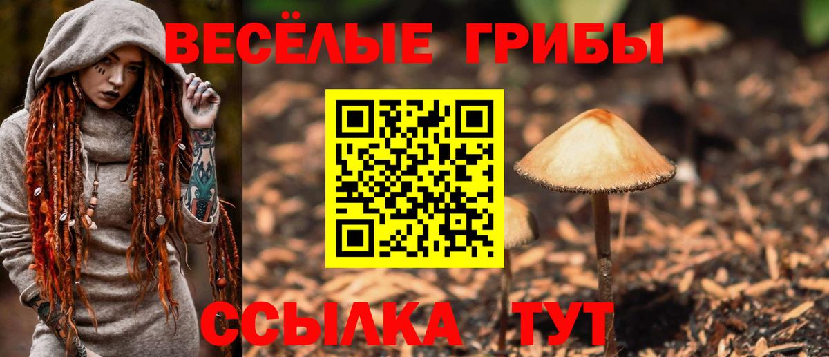 Галлюциногенные грибы Magic Shrooms  Псилоцибиновые грибы GOLDEN TEACHER  Хабаровск  Вход с VPN 