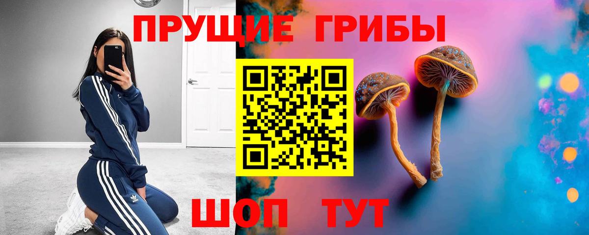 Галлюциногенные грибы Magic Shrooms Хабаровск